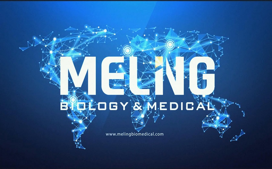 مقدمة ميلينغ الطب الحيوي
