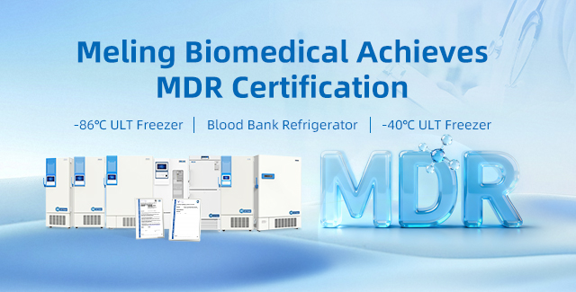 Unlocking Compliance and Innovation: Meling Biomedical's MDR-Certified Portfolio